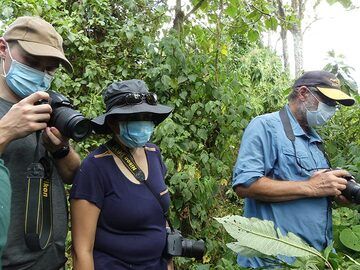 Jour 7 - Avant de s'approcher des gorilles de montagne, chacun est obligé de porter un masque buccal pour réduire le risque de transmission d'éventuelles maladies humaines à ces primates (Photo: Ingrid Smet)