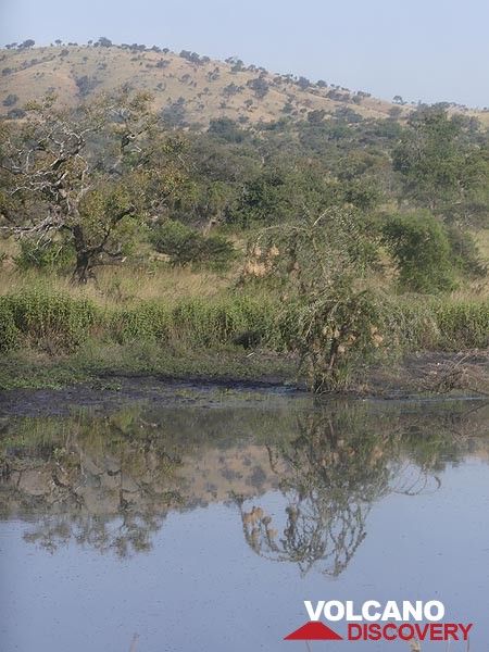 Akagera NP extension - Small pond with numerous weaver birds´nests in the small bush at the edge of the water (Photo: Ingrid Smet)