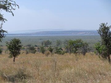 Extension du PN de l'Akagera - vue sur la savane jusqu'au lac Ihema et au-delà de la Tanzanie (Photo: Ingrid Smet)