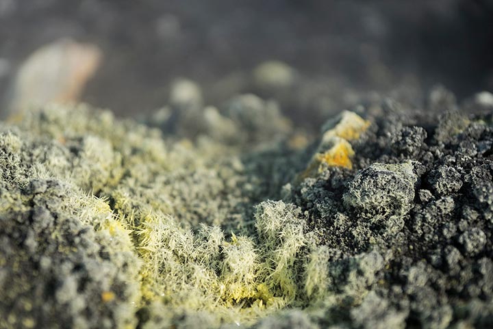 Delicate sulphur crystals on Anak Krakatau. jpg (Photo: Ivana Dorn)