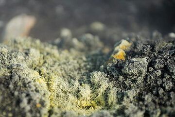 Zarte Schwefelkristalle auf Anak Krakatau. jpg (Photo: Ivana Dorn)