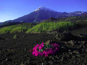 Camp 12 km from Tolbachik volcano, Kamchatka (Photo: Anastasia)
