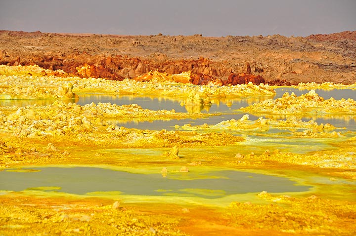 Inmitten der gelb-orange-braunen Mineralisierungen bei Dallol gibt es viele grünliche Säureteiche (Photo: Anastasia)