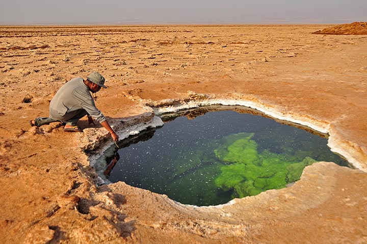 Überprüfung des sauren Wassers, das sich in den vielen Teichen in der Nähe der Salzlagerstätten von Hamed Ela sammelt (Photo: Anastasia)