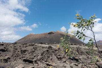 Lanzarote 2016 – Besuch der Caldera de Los Cuervos – Der erste Vulkan nach dem Ausbruch im September 173... (Photo: Ayasha27)
