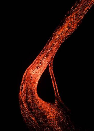 Curved lava flow (Photo: Diego Rizzo)