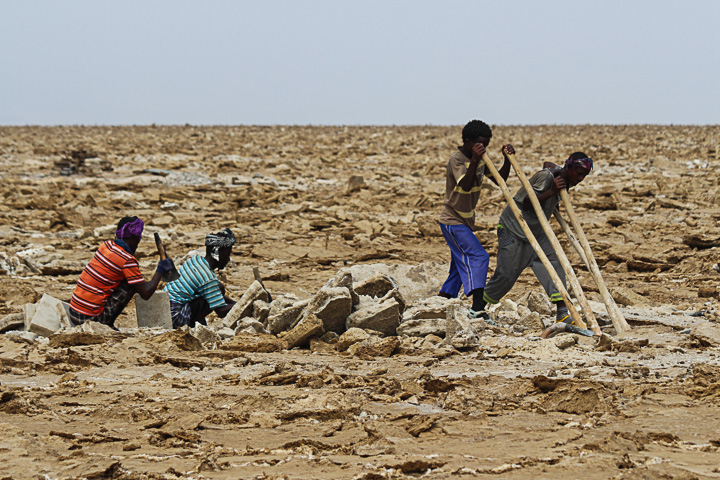 Au travail pour briser la croûte de sel dans le lac Karim, désert de Danakiil (Photo: Dietmar)