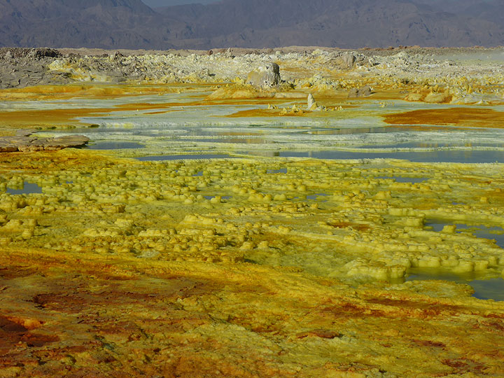 At Dallol, the areay covered by hydrothermal deposits and active salt springs and geysirs is the largest our main guide has witnssed in the 20 years he has been regularly visiting this scene. (Photo: Hans and Jooske)