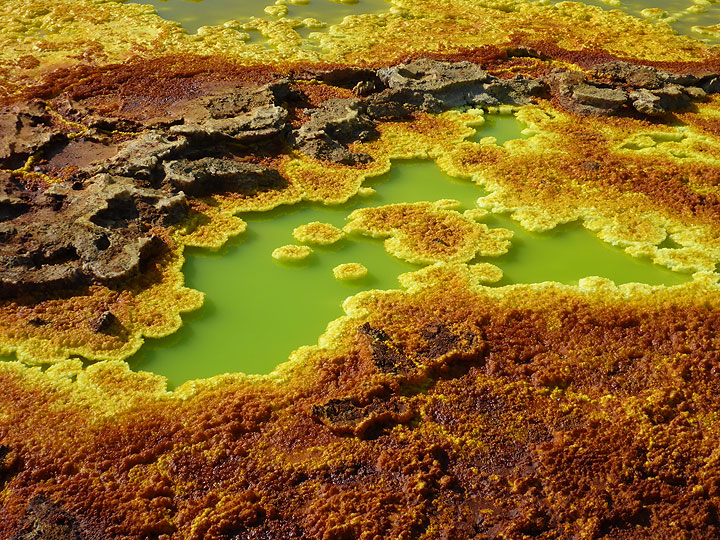 Between the yellow-orange-brown salt deposits at Dallol there are again numerous ponds and lake of acid geothermal water. (Photo: Hans and Jooske)