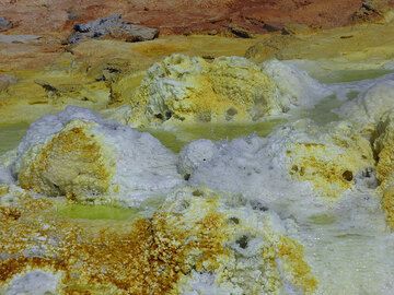 Close up of some of the newly formed miniature geysirs and salt springs at Dallol. (Photo: Hans and Jooske)