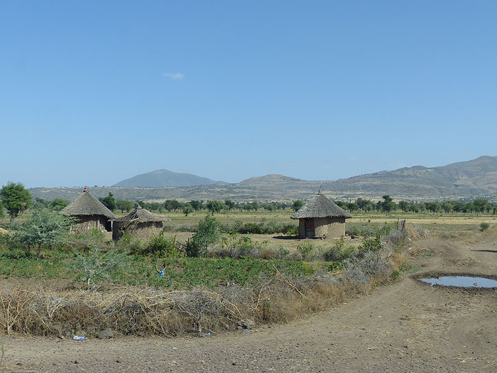 JOUR 1 : Sur la route d'Addis Abeba vers le Parc National d'Awash (Photo: Ingrid)