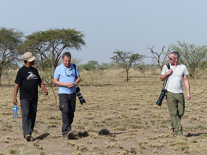 JOUR 2 : Court safari dans le parc national d'Awash (Photo: Ingrid)