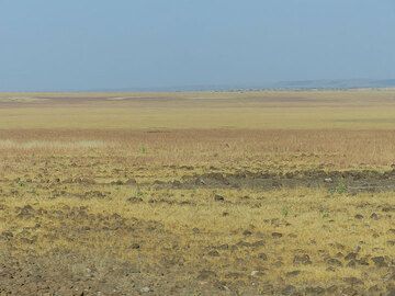 DAY 2: From Awash NP to Logia - the relatively green savannah gradually gives way to a less vegetated steppe landscape (Photo: Ingrid)
