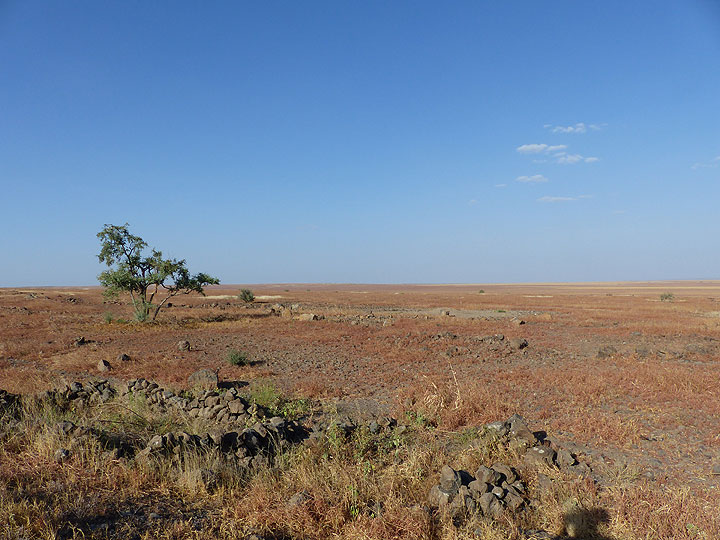 DAY 2: From Awash NP to Logia - the relatively green savannah gradually gives way to a less vegetated steppe landscape (Photo: Ingrid)