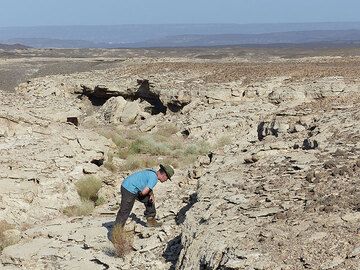 JOUR 3 : ...qui s'étendent rapidement en épaisses couches de calcaire et de sédiments lacustres, bel endroit pour la chasse aux fossiles ! (Photo: Ingrid)