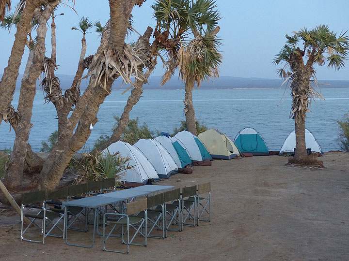 DAY 3: From Logia to Afrera salt lake - our shoreline camp for the night! (Photo: Ingrid)