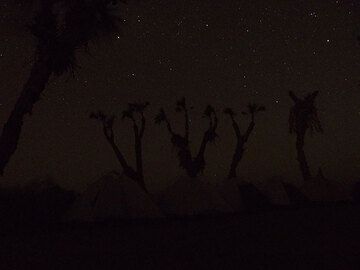 NIGHT 3: Afrera salt lake - camping next to the lake and under a stardotted sky... (Photo: Ingrid)