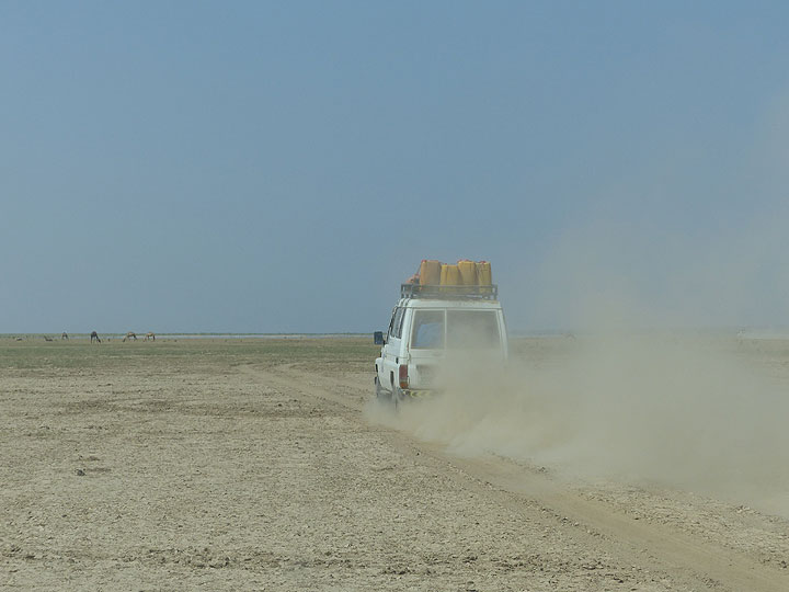 JOUR 4 : D'Afrera à Dodom (camp de base d'Erta Ale) - poursuite de la route poussiéreuse vers le camp de base (Photo: Ingrid)