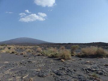 DAY 4: From Afrera to Dodom (Erta Ale basecamp) - the Danakil area near Erta Ale, with the silhouette of Amaitoli volcano in the background (Photo: Ingrid)