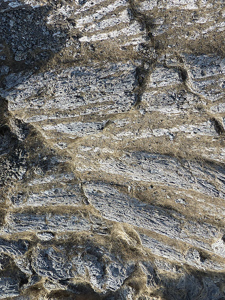 JOURS 5-6-7 : Erta Ale - À mesure que nous nous rapprochons du cratère avec le lac de lave actif, nous remarquons des quantités croissantes de poils de Pelé brun doré, collectés entre les plis et les fissures des coulées de lave plus anciennes. (Photo: Ingrid)