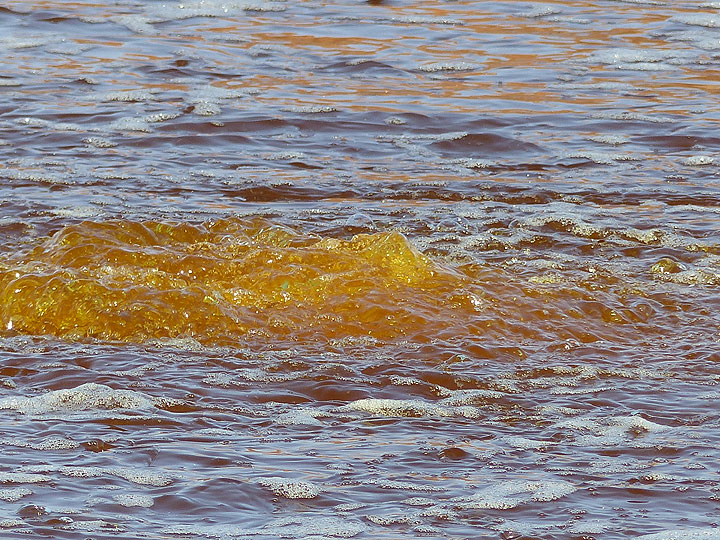 DAY 10: Lake Assale - ...but where it bubbles up, the yellow colour of this hydrothermal water becomes clearly visible (Photo: Ingrid)