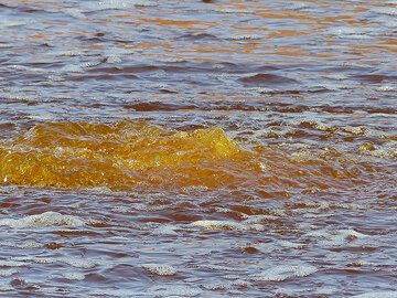 JOUR 10 : Lac Assale - ...mais là où elle bouillonne, la couleur jaune de cette eau hydrothermale devient bien visible (Photo: Ingrid)