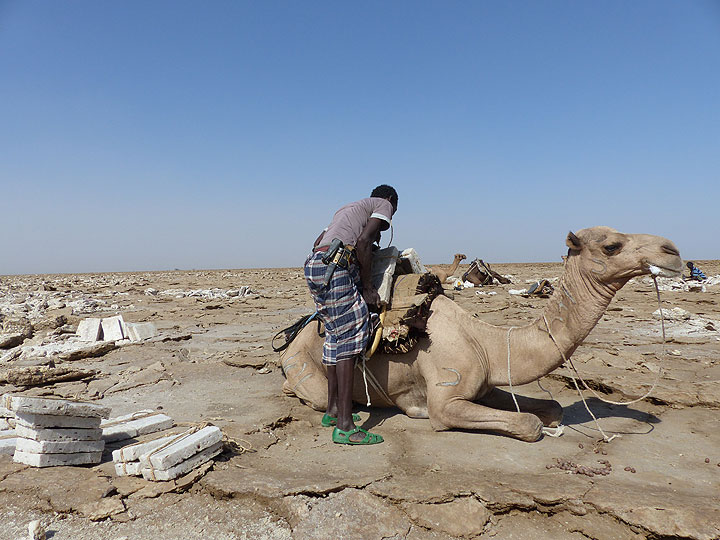 JOUR 10 : Lac Assale -...avant qu'ils ne soient chargés sur le chameau (Photo: Ingrid)