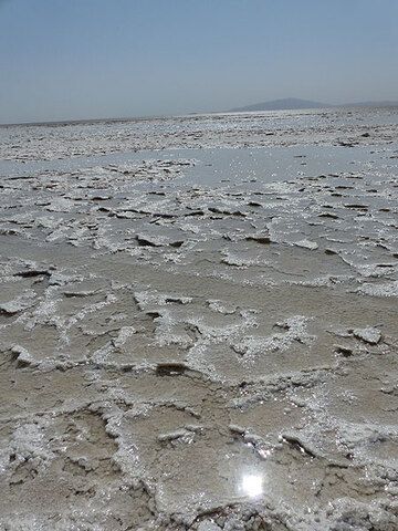 TAG 10: Lake Assale – Glitzernde weiße Salzkristalle und Sole am Ufer des Lake Assale (Photo: Ingrid)