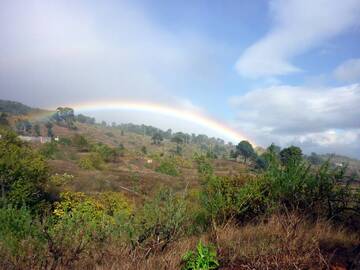 Rainbow after a shower near the community of El Pinar on El Hierro, Canary islands (Photo: Janka)