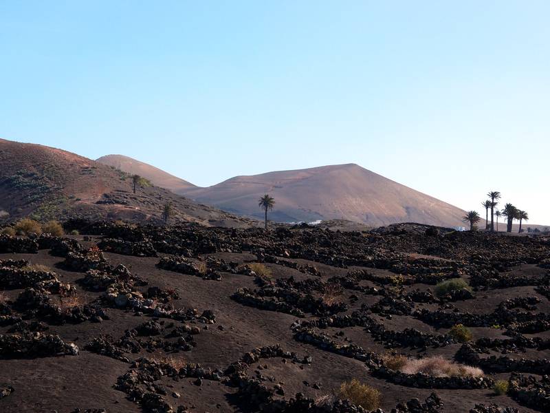 Wine-growing in the interior of Lanzarote, Canary islands (Photo: Janka)