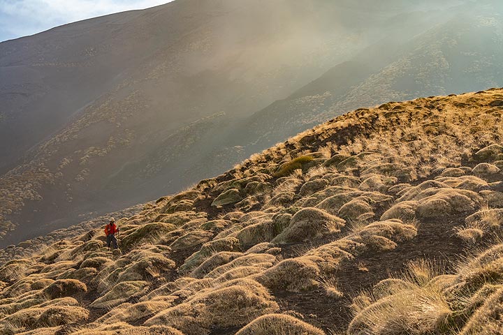 Des coussins de "Spinosanto" (Astragalus siculus) couvrent une grande partie des pentes entre 1 800 et 2 400 m d'altitude à l'Etna. (Photo: Markus Heuer)