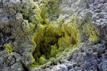 Sulphur at fumarole at Mt Egon volcano, Flores, Indonesia (Photo: Markus Heuer)