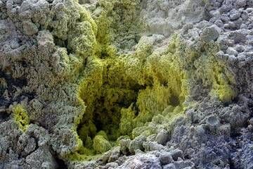 Zolfo nella fumarola del vulcano Mt Egon, Flores, Indonesia (Photo: Markus Heuer)