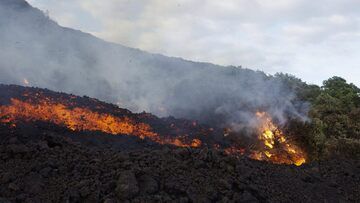 Advancing lava flow front more than 10 meters wide. (Photo: Michael Dalton)