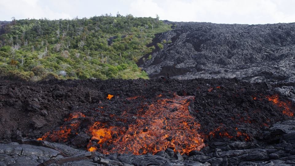 Front of a lava flow that descended the pali on 1 July 2016. (Photo: Michael Dalton)