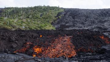 Vor einem Lavastrom, der am 1. Juli 2016 den Pali ergoss. (Photo: Michael Dalton)