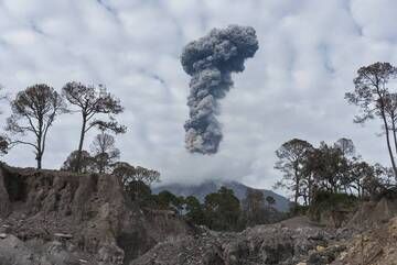 The summit of Volcán de Colima is hidden by the clouds but not the eruptive column. The picture was taken from Montegrande gully located south of the volcano on December 9, 2015. Dead vegetation and unconsolidated deposits evidence the path taken by a series of pyroclastic flows which descended along the gully in July 2015. (Photo: PepCabré)