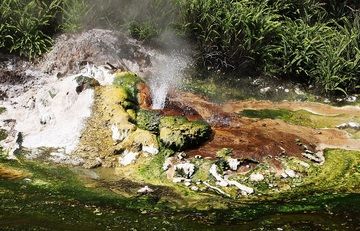 Hot spring in Waimungu Volcanic Valley, one of Rotorua volcano's most known tourist attractions, NZ (Photo: Richard Arculus)