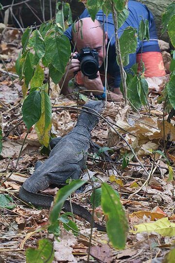 Roberto photographing a monitor lizard (Photo: Ronny Quireyns)