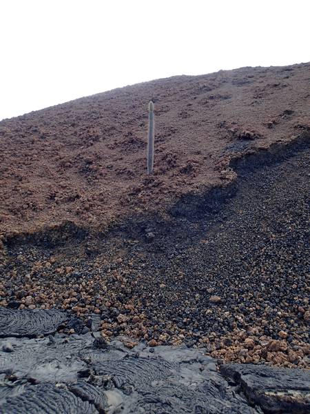 Cactus en el volcán Santiago (Islas Galápagos) (Photo: Ursula Lehmann)