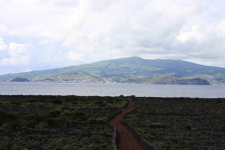 Weinberge der Insel Pico mit Blick auf die Insel Faial, Azoren (Photo: WNomad)