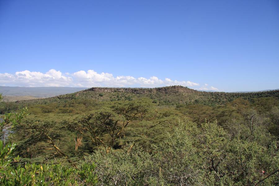Kraterrand in der Nähe des Hells Gate NP, Distrikt Kakuru, Rift Valley, Kenia (Photo: WNomad)