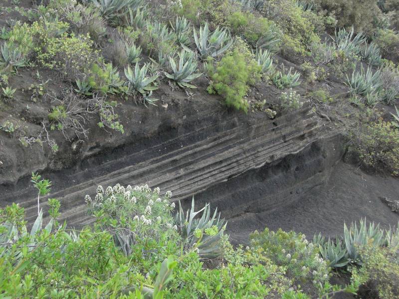 Ascheschichten in der Caldera de Bandama, Insel Cran Canaria, Kanarische Inseln (Photo: WNomad)