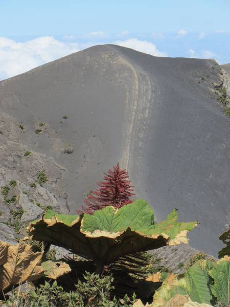National Park of Irazu Volcano, Costa Rica (Photo: WNomad)