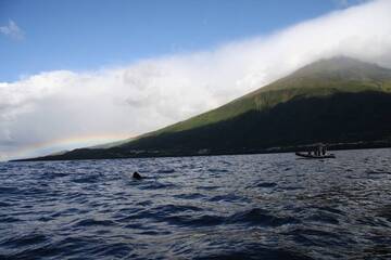 Volcano Pico, view from the south seaside, baby whale in front, near Sao Joao, Pico Isl., Acores (Photo: WNomad)