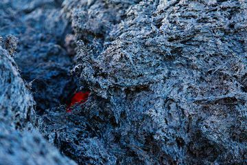 Охлаждающий блок лавы, покрытый голубоватыми сублиматами. (Photo: Emanuela / VolcanoDiscovery Italia)