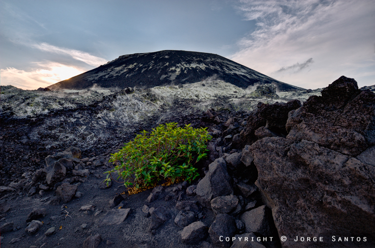 Anak Krakatau-Schwefelfelder am Fuße des Anak-Kegels (Photo: jorge)