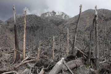 Flujos piroclásticos han destruido bosques del lado norte del domo de lava del volcán Chaitén. (Photo: Richard Roscoe)