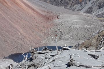 I piedi della cupola lavica del vulcano Chaiten e la vegetazione danneggiata sul bordo della caldera circostante. (Photo: Richard Roscoe)