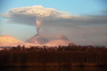 View of ash cloud of Kliuchevskoi from Kamchatka River. Typical dense forest is seen beyond river. (Photo: Richard Roscoe)